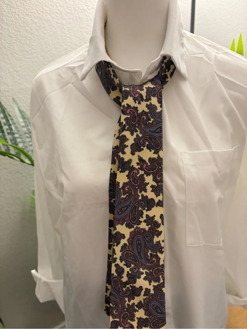 Damo Beige Paisley Silk Dress Tie with Blue and Burgundy Accents